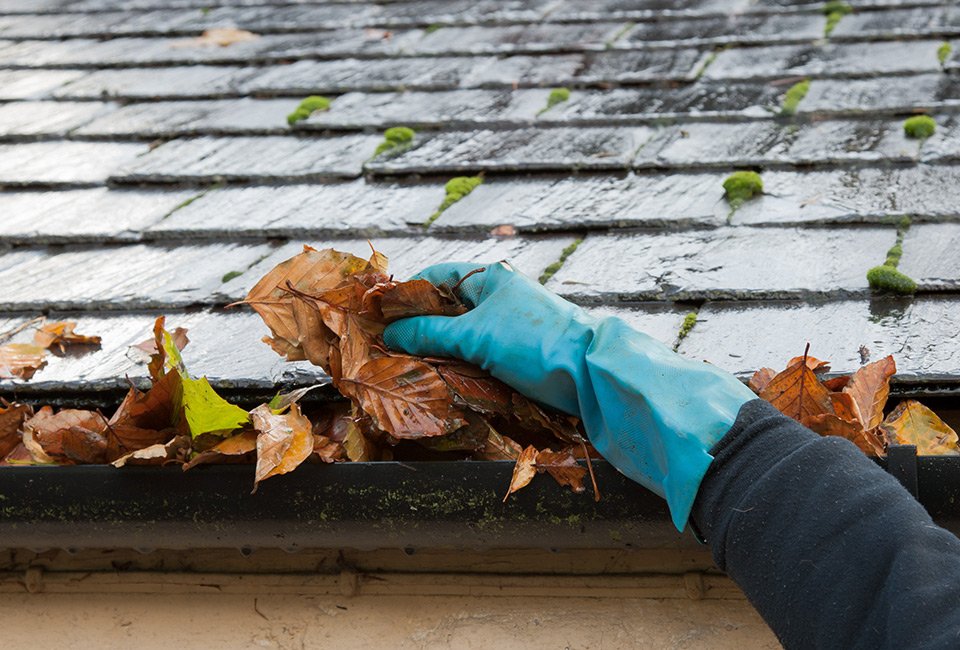 Protection de gouttière contre la saleté et les feuilles