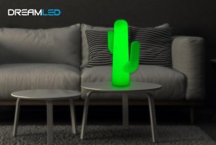 Oplaadbare cactus led-lamp van DreamLED — 3