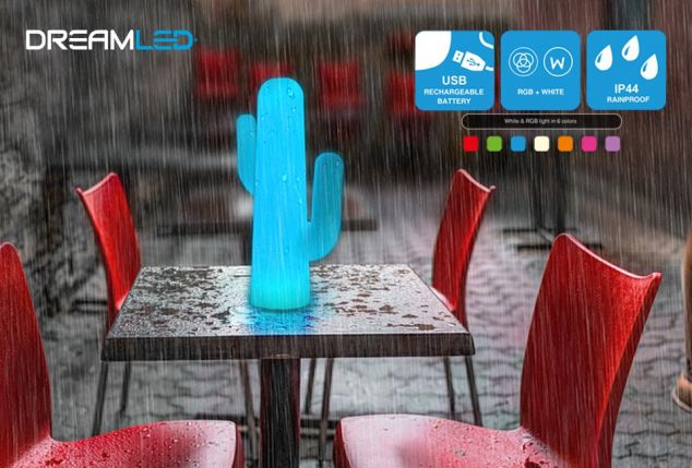 Oplaadbare cactus led-lamp van DreamLED
