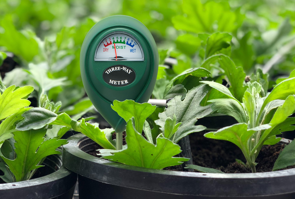 Set de 4 testeurs d’humidité pour vos plantes