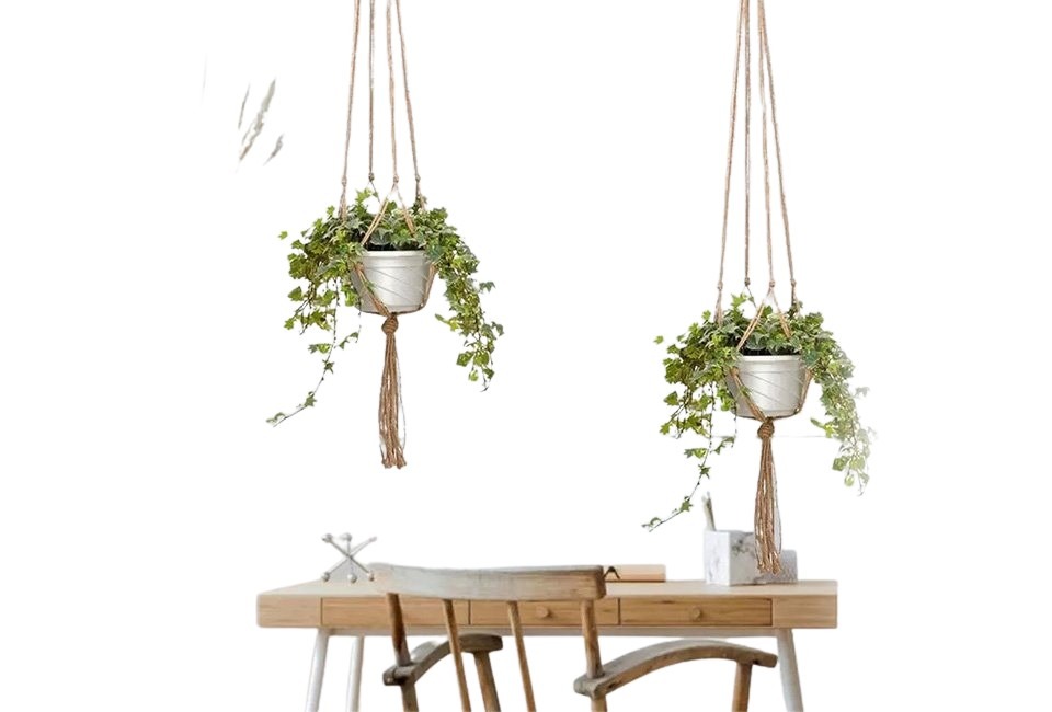 Set de 2 ou 4 chouettes suspensions pour plantes