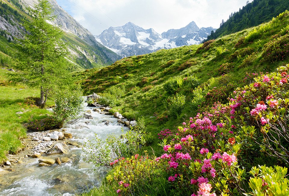 Zomer in het Oostenrijkse Zillertal met verblijf in all-inclusive in hotel Untermetzger of Pension Klammerschneider