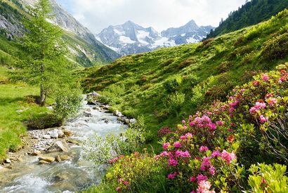 Zomer in het Oostenrijkse Zillertal met verblijf in all-inclusive in hotel Untermetzger of Pension Klammerschneider — 19