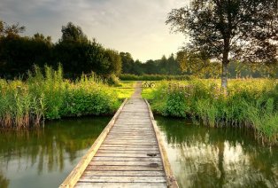 Wellnessverblijf in Zuid-Nederland - Fletcher Hotel-Restaurant Trivium — 5