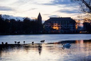 Luxeverblijf met diner in Genk - M Hotel**** — 21