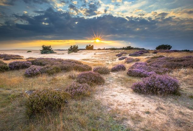 Verwenverblijf van 2, 3 of 4 nachten nabij Nationaal Park de Hoge Veluwe - Fletcher Hotel-Restaurant De Wipselberg - Veluwe