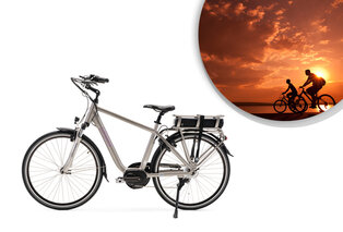 Elektrische fiets van BizBike — 9