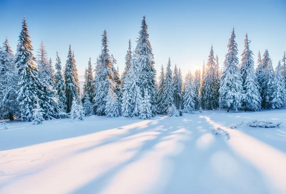 All-inclusive skivakantie in Valfr&eacute;jus (FR)