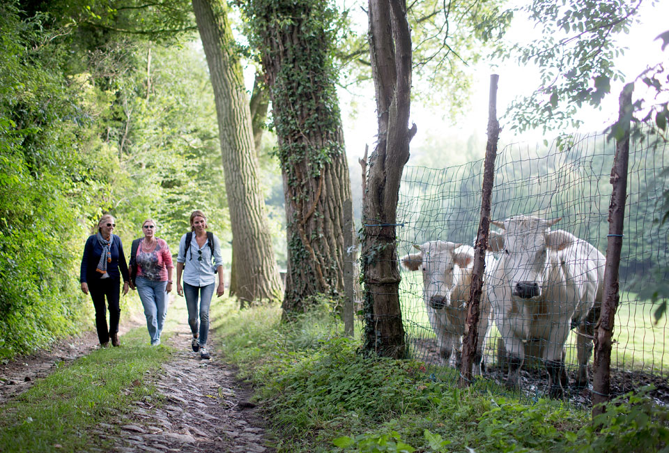 2 nachten in 4-sterrenhotel in de Vlaamse Ardennen - Hotel Leopold Oudenaarde