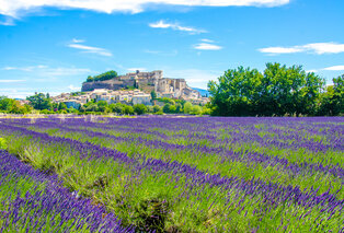 Séjour luxueux avec dîner en Provence - Mas des Romarins — 9