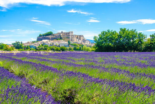 Séjour luxueux avec dîner en Provence - Mas des Romarins