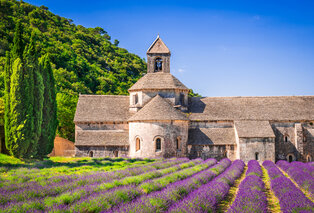 Séjour luxueux avec dîner en Provence - Mas des Romarins — 13