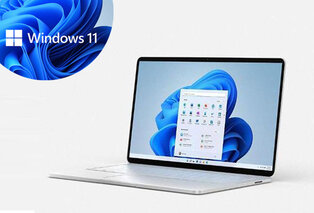 Microsoft Windows 11 Home or Pro — 2