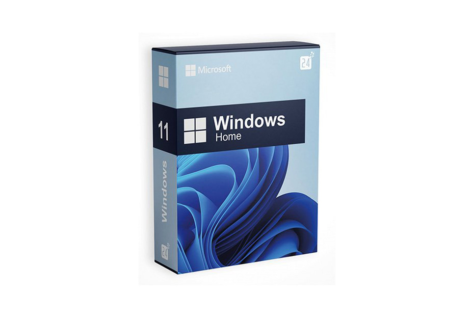 Microsoft Windows 11 Home or Pro