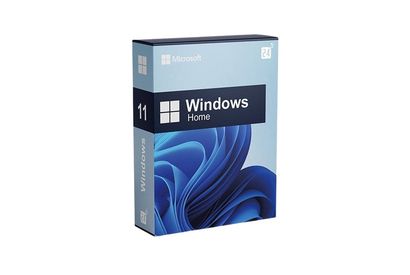 Microsoft Windows 11 Home or Pro — 5