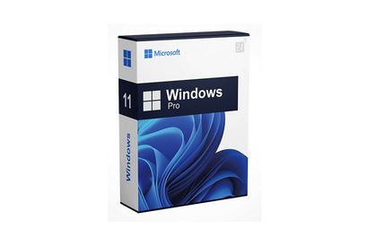 Microsoft Windows 11 Home or Pro — 7