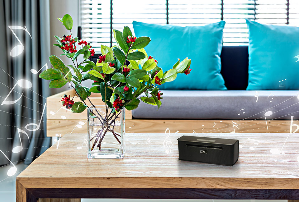 Mini-enceinte stéréo sans fil Stereoboomm 700+