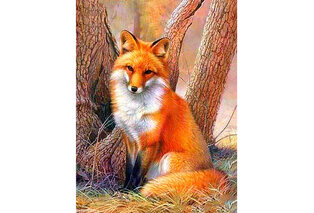 Kit per diamond painting — 15