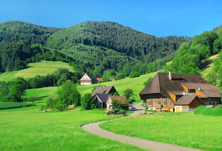 Halbpension-Aufenthalt mit Wellness im Schwarzwald