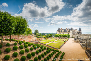 Ontdek de kastelen van de Loire: Hotel La Terrasse***