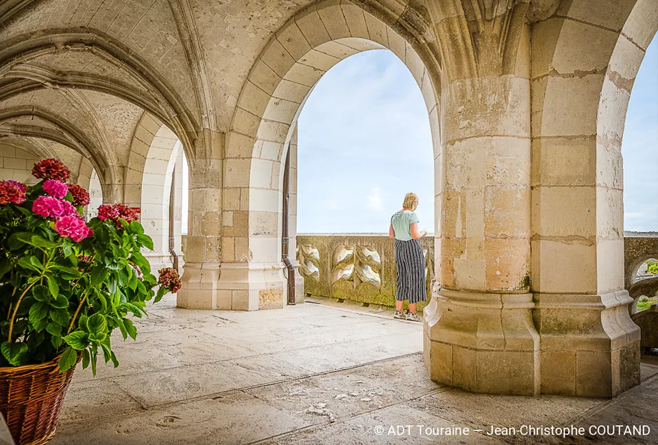 D&eacute;couvrez les ch&acirc;teaux de la Loire - H&ocirc;tel La Terrasse***