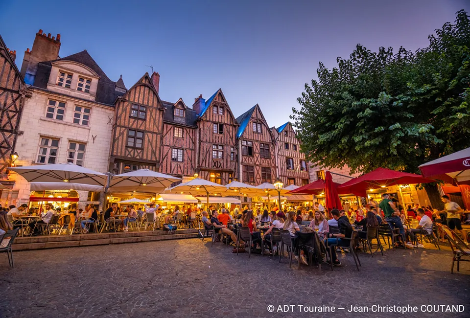 D&eacute;couvrez les ch&acirc;teaux de la Loire - H&ocirc;tel La Terrasse***