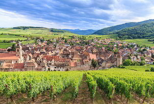 Séjour en demi-pension en Alsace