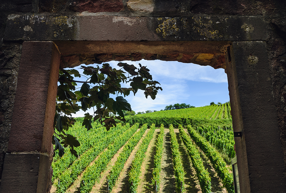 Aufenthalt mit Halbpension im Elsass