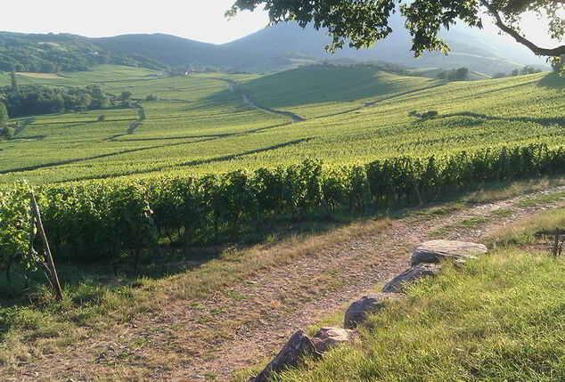 2, 3 ou 4 nuits en demi-pension en Alsace - À l´Arbre Vert