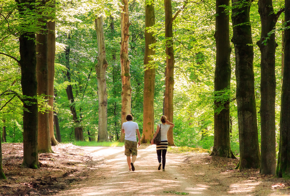 Verblijf op de Veluwe nabij Arnhem