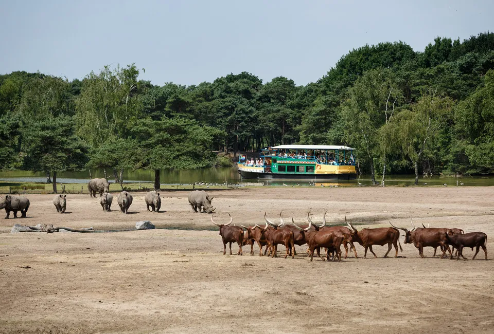 Safari in Safaripark Beekse Bergen (NL)