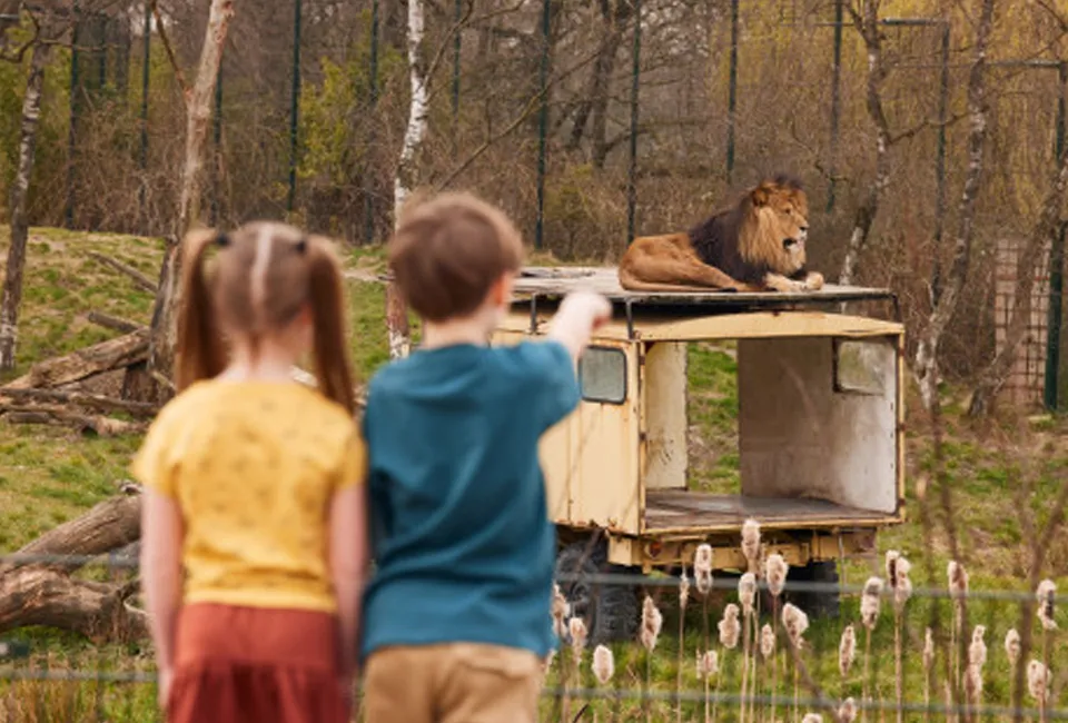 Safari in Safaripark Beekse Bergen (NL)