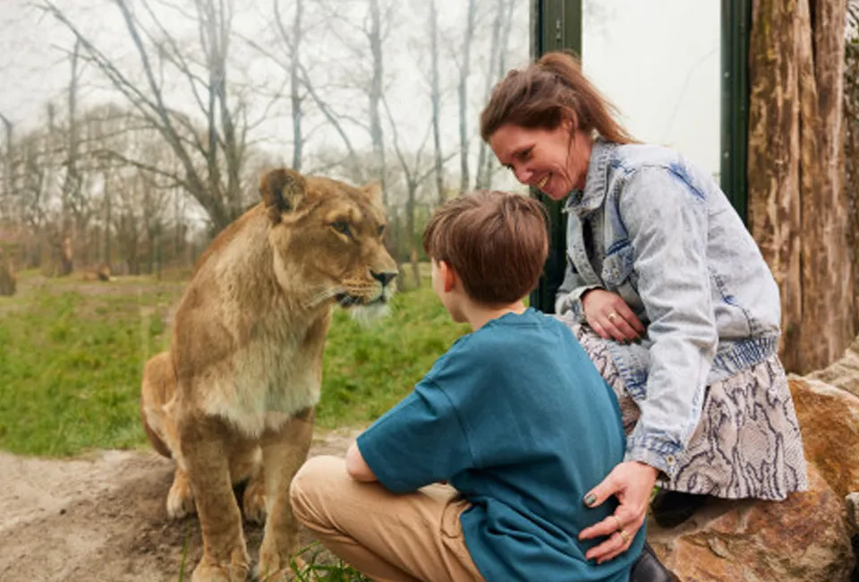 Safari in Safaripark Beekse Bergen (NL)