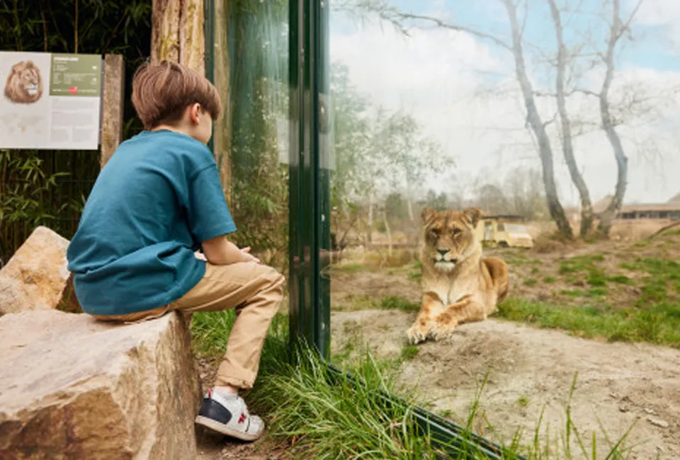Safari in Safaripark Beekse Bergen (NL)