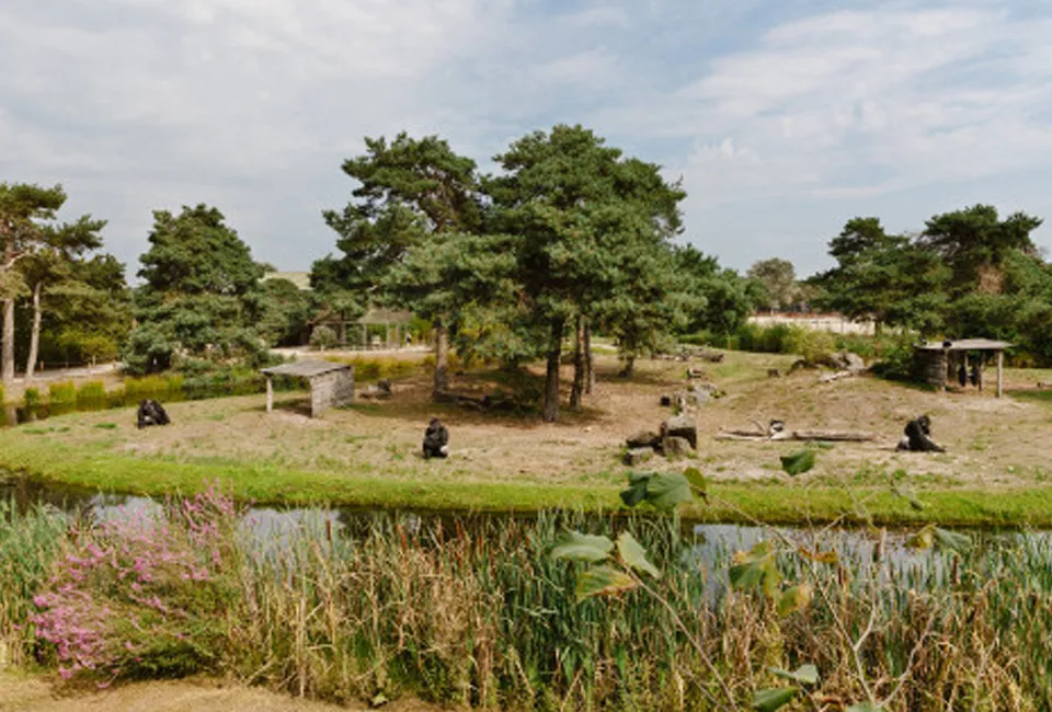 Safari in Safaripark Beekse Bergen (NL)