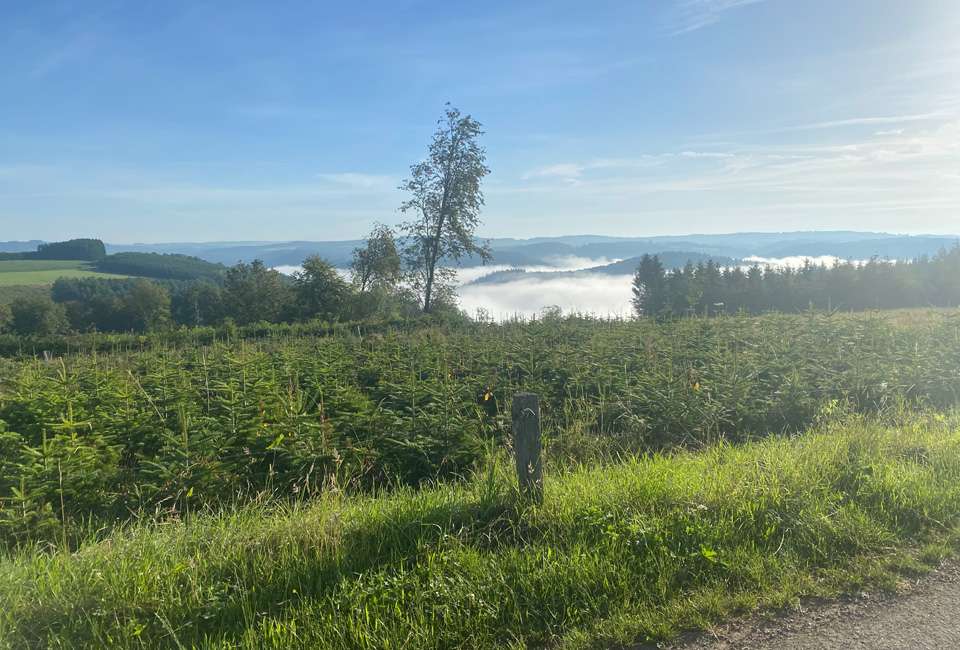 S&eacute;jour en demi-pension dans la vall&eacute;e de la Semois (BE)