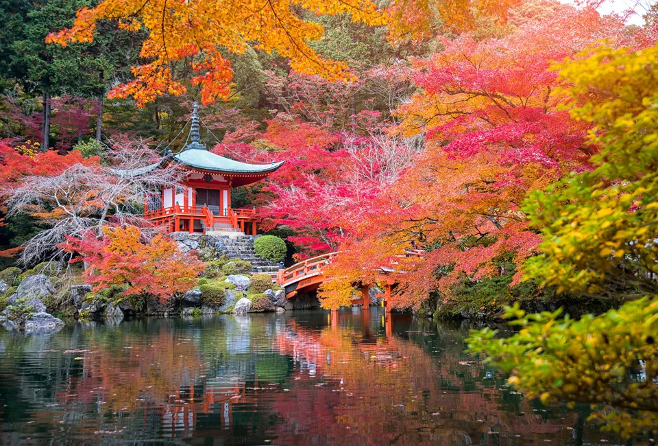 3 arces japoneses XL