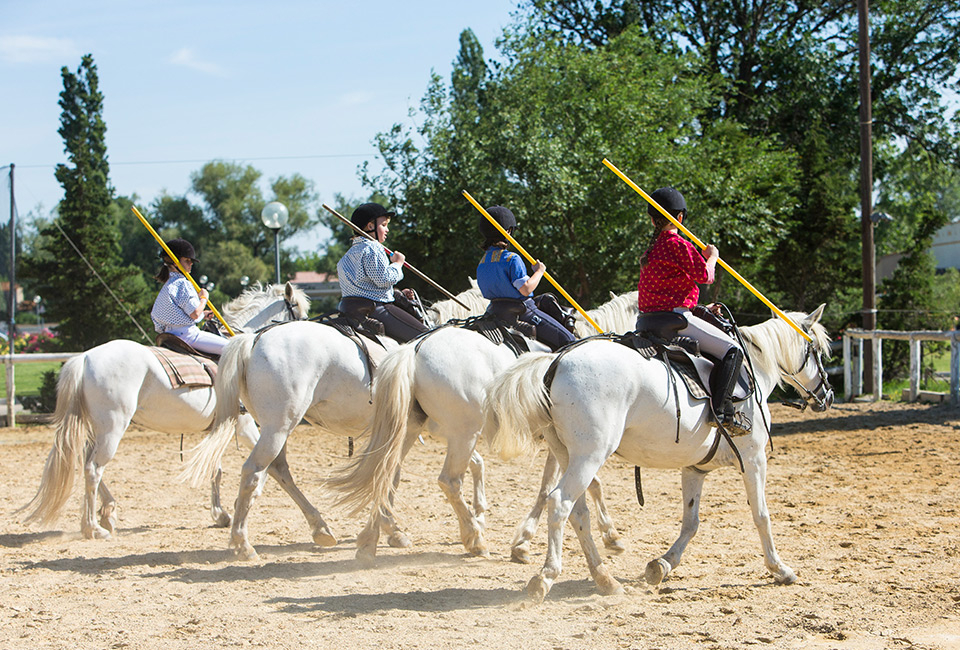 S&eacute;jour en all in &agrave; Arles avec piscine ext&eacute;rieure