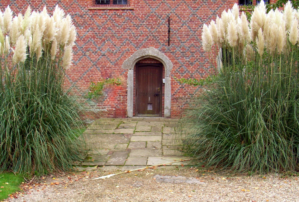 Trawy ozdobne