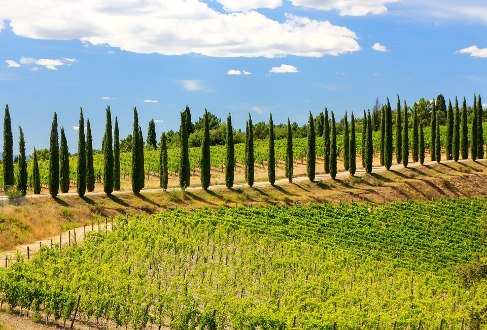 2, 3, 5 of 7 nachten romantisch vertoeven in Toscane - Hotel Villa Il Patriarca****