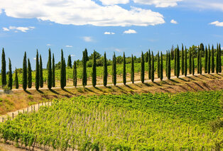 2, 3, 5 of 7 nachten romantisch vertoeven in Toscane - Hotel Villa Il Patriarca**** — 9