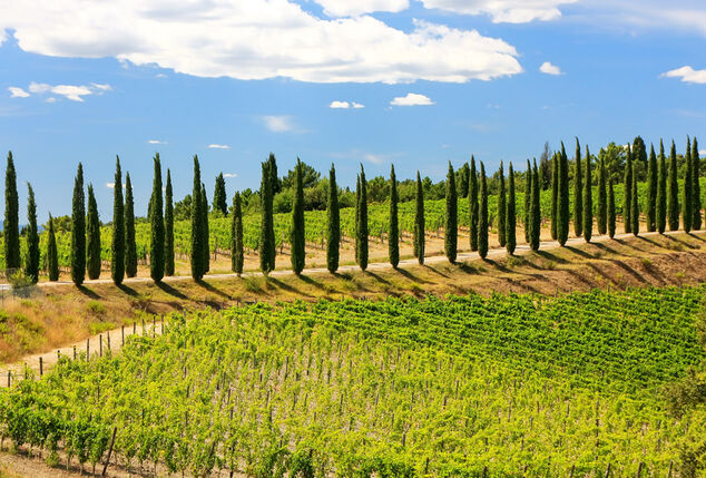 2, 3, 5 of 7 nachten romantisch vertoeven in Toscane - Hotel Villa Il Patriarca****