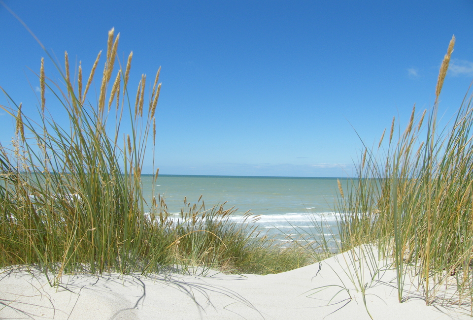 Agr&eacute;able s&eacute;jour en Baie de Somme
