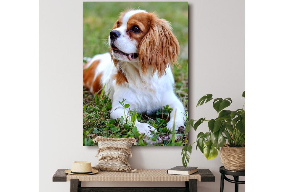 Bon pour un tirage photo sur une toile ou un cercle mural sur le site Fotoproducten.nl