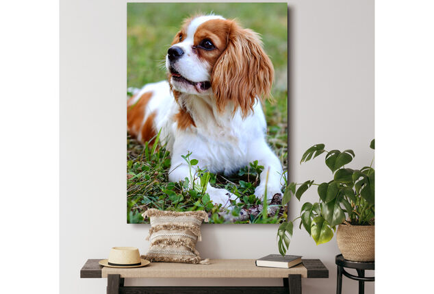 Bon pour un tirage photo sur une toile ou un cercle mural sur le site Fotoproducten.nl