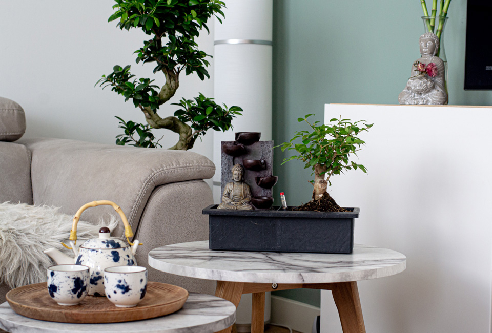 Drzewko bonsai z wodospadem
