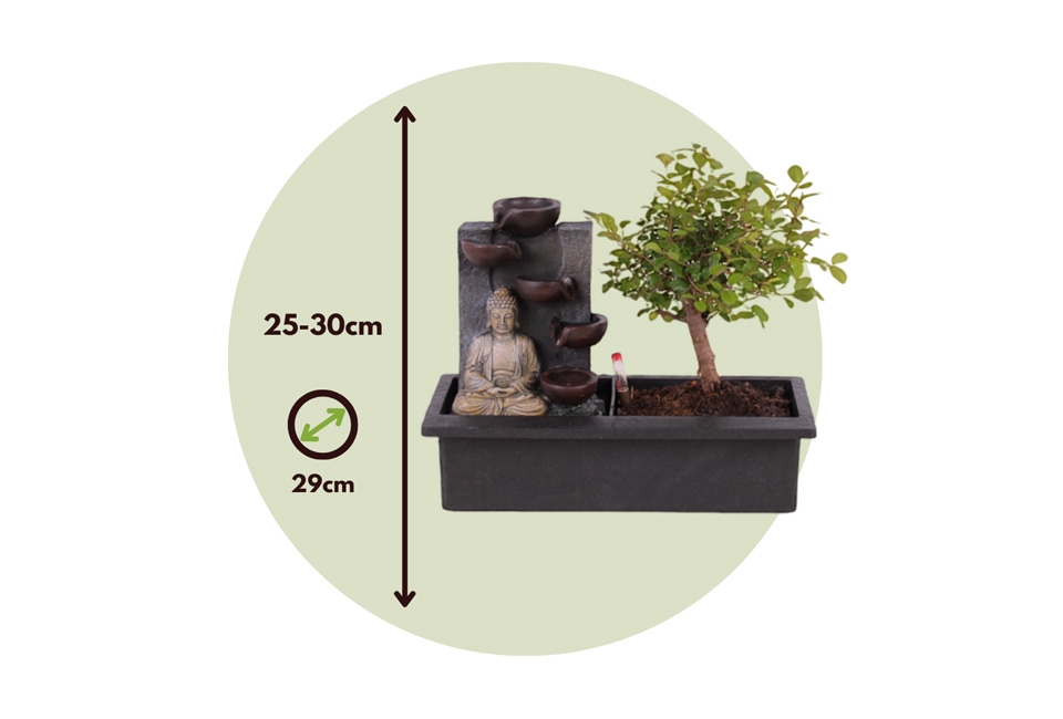 Drzewko bonsai z wodospadem