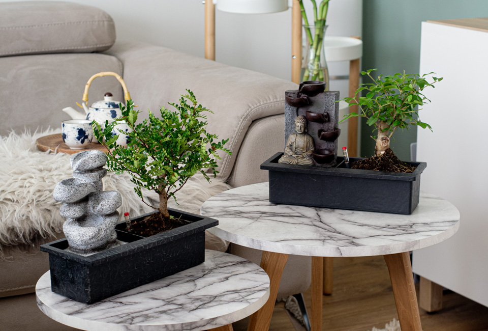 Drzewko bonsai z wodospadem