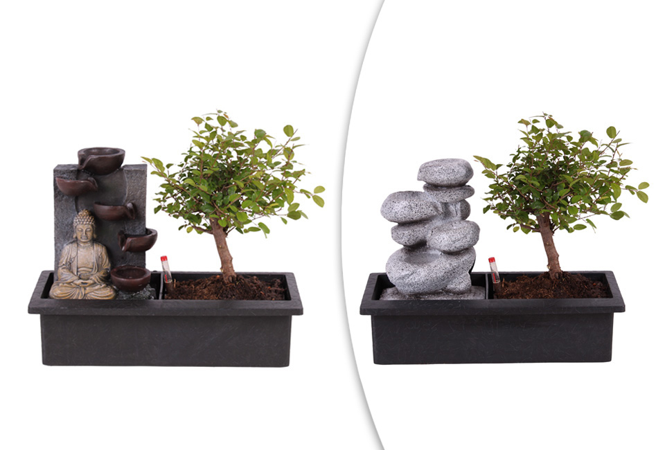 Drzewko bonsai z wodospadem