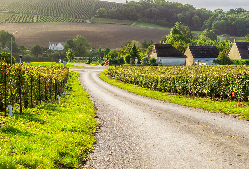 Gastronomisch verblijf in de Champagne 